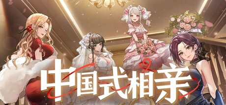 中国式相亲/Matchmaking Inc.-唯游