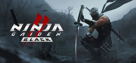 忍者龙剑传2:黑之章/NINJA GAIDEN 2 Black-唯游