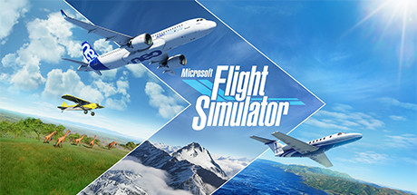 微软模拟飞行2020/微软飞行模拟2020/Microsoft Flight Simulator-唯游